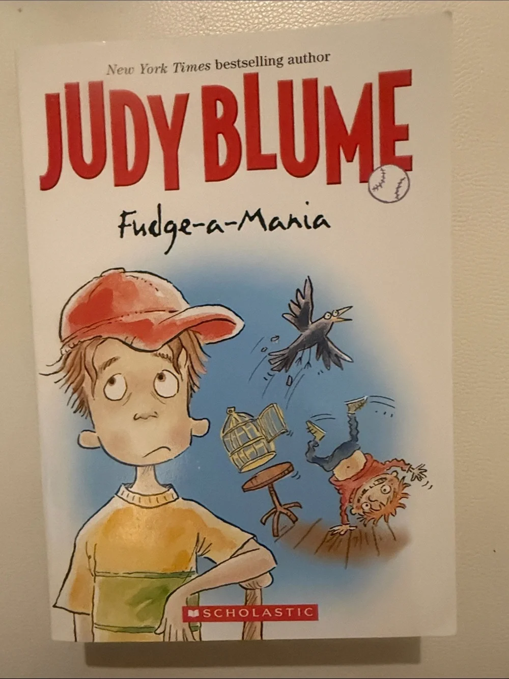 Paperback Judy Blume Book Set - Yellow, Blue, Red, Green Accents